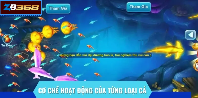 banca1 Cơ chế chơi bắn cá